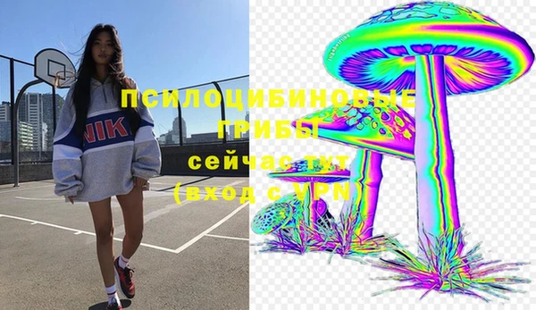 прущие грибы Алексеевка