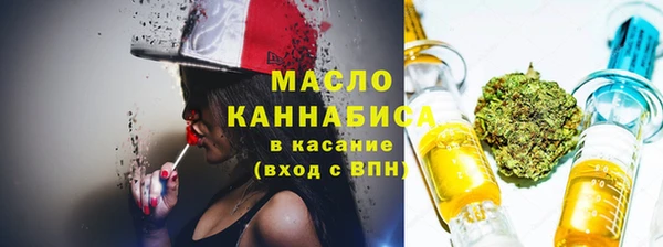 крисы Абаза