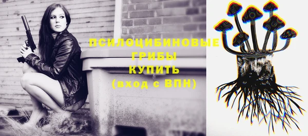 ГАЛЛЮЦИНОГЕННЫЕ ГРИБЫ Алзамай