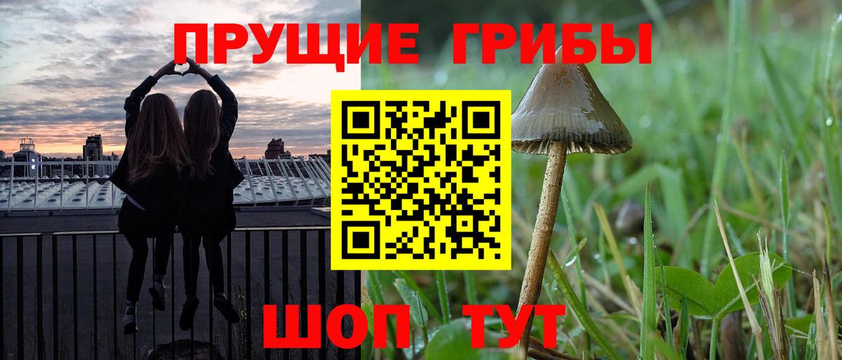Серпухов  Галлюциногенные грибы MAGIC MUSHROOMS  Вход с VPN 